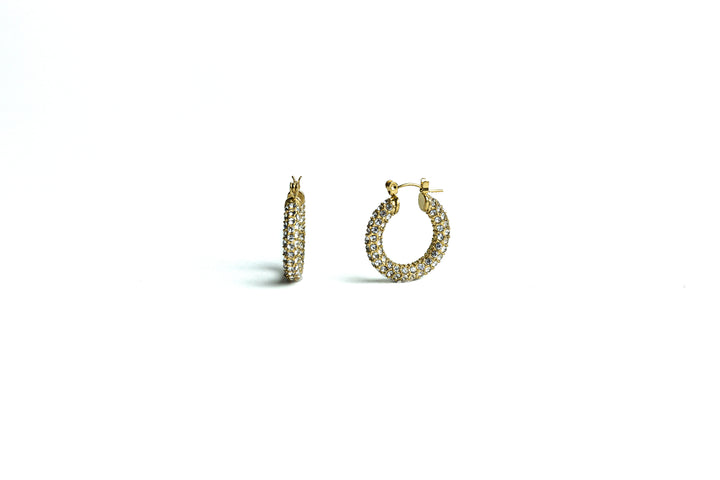 Didan Hoop Earrings