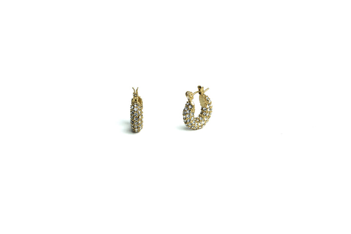 Didan Hoop Earrings