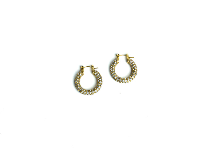 Didan Hoop Earrings